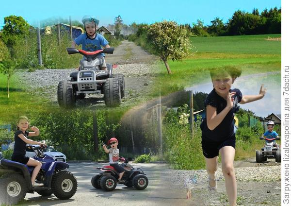 дорога из сада