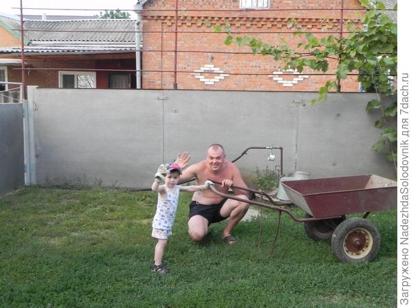платошка