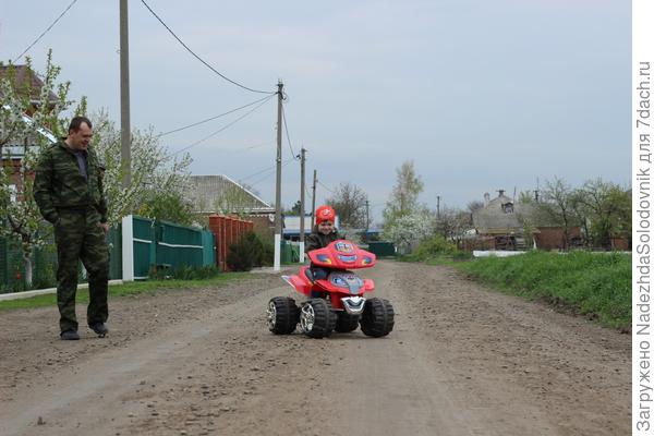 платошка