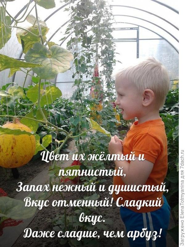 УХ И УРОДИЛСЯ У НАС С БАБУЛЕЙ УРОЖАЙ В ЭТОМ ГОДУ!!!