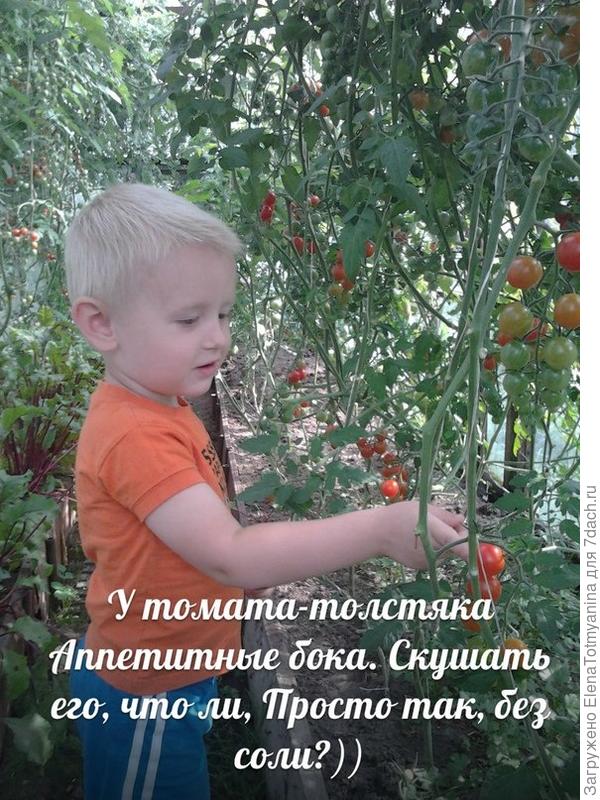 УХ И УРОДИЛСЯ У НАС С БАБУЛЕЙ УРОЖАЙ В ЭТОМ ГОДУ!!!