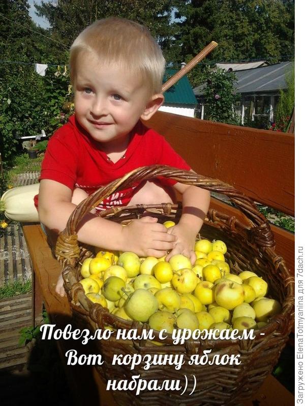 УХ И УРОДИЛСЯ У НАС С БАБУЛЕЙ УРОЖАЙ В ЭТОМ ГОДУ!!!