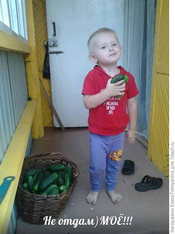УХ И УРОДИЛСЯ У НАС С БАБУЛЕЙ УРОЖАЙ В ЭТОМ ГОДУ!!!