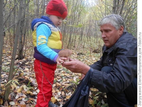 Раз, два, три, четыре, пять, дедушка нас в лес вывел, грибной УРОЖАЙ собирать! () Раз, два, три, четыре, пять, дедушка нас в лес вывел, грибной УРОЖАЙ собирать!
