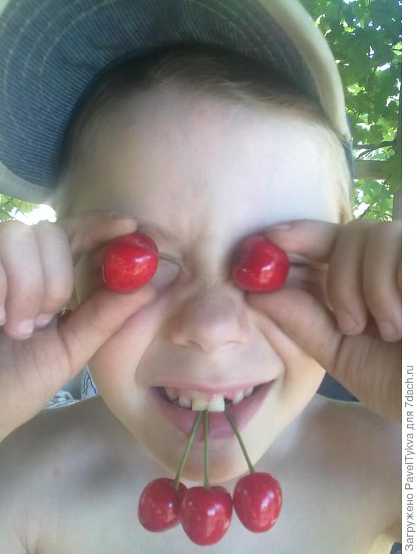 Наши мальчики-зайчики на даче