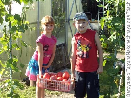 Внуки мои помошники.