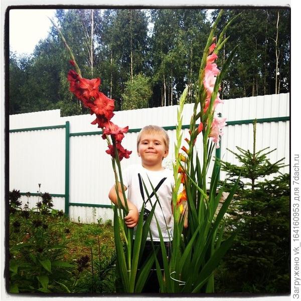 Растем, растим, узнаем и познаем)