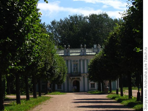 Липовая аллея парка