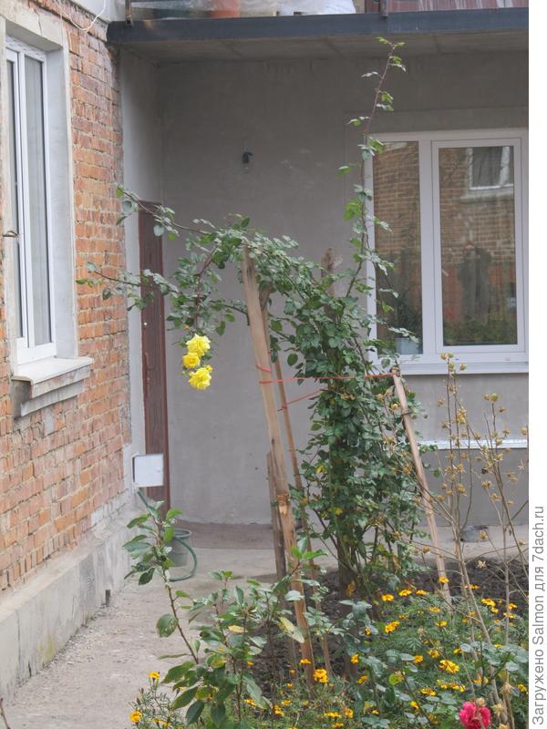 Последнее дыхание лета