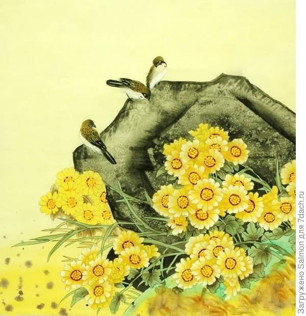 Хризантема