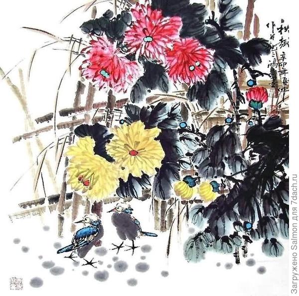 Хризантема