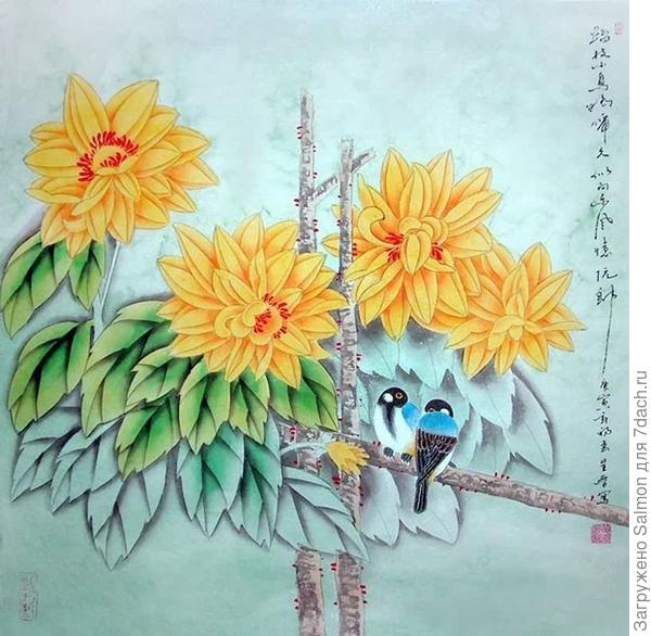 Хризантема