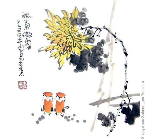 Хризантема