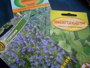 Правильные и неправильные изображения на пакетах змееголовника