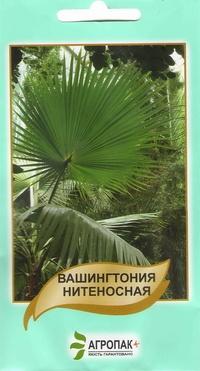 Вашингтония нитеносная