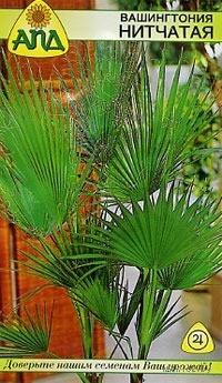 Вашингтония