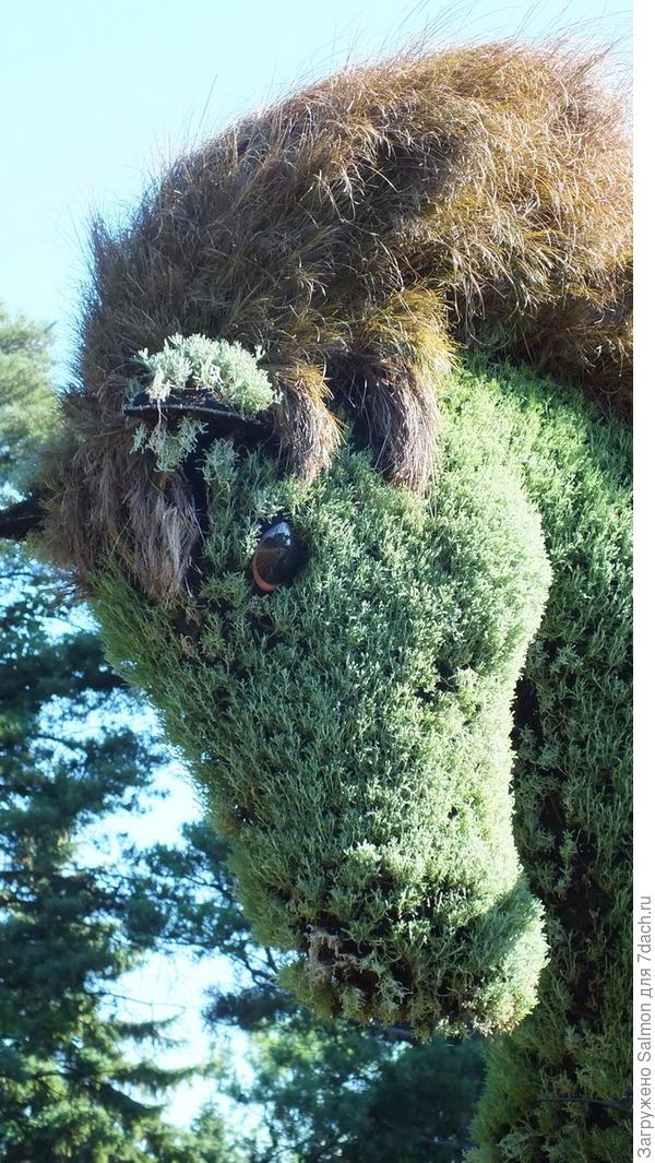 Осока в лошади-скульптуре