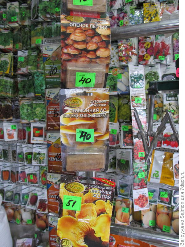 Мицелий грибов в магазине