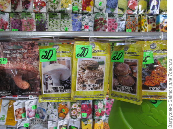 Мицелий грибов в магазине