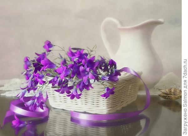 Дачный натюрморт