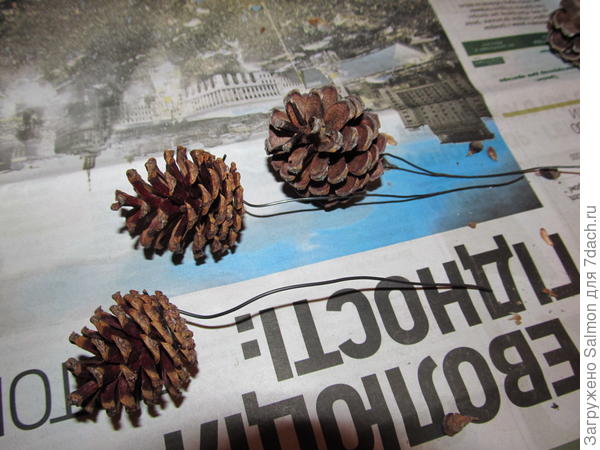 Цветы-шишки