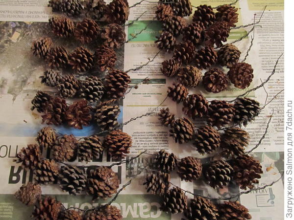 16 шишечных веточек