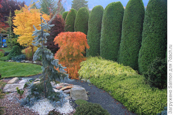 Хвойное ограждение