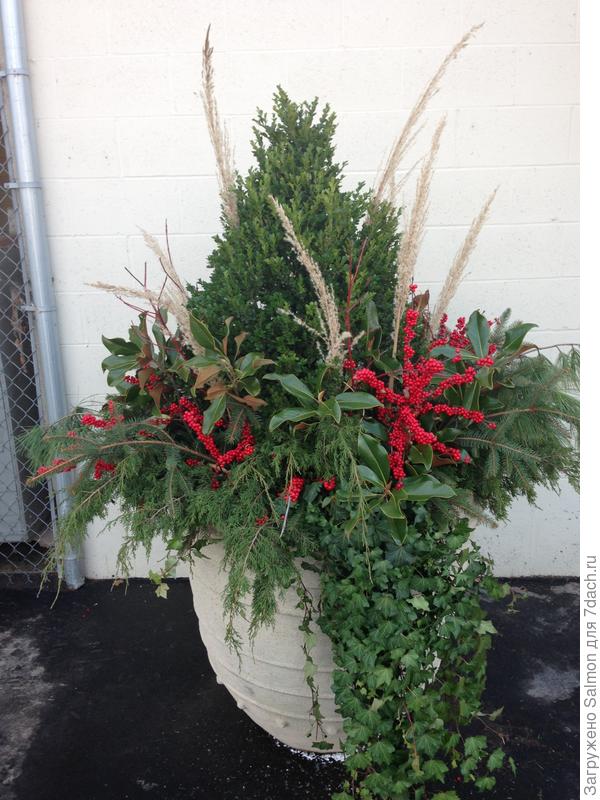 Зимний контейнер