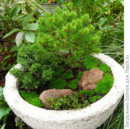 Зимний контейнер