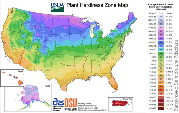 Климатические зоны США. Фото с сайта planthardiness.ars.usda.gov