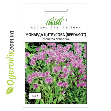 Семена монарды