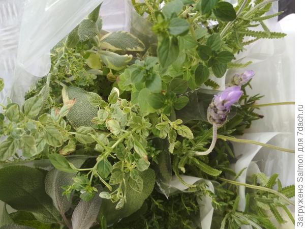 Пряный и пестрый микс