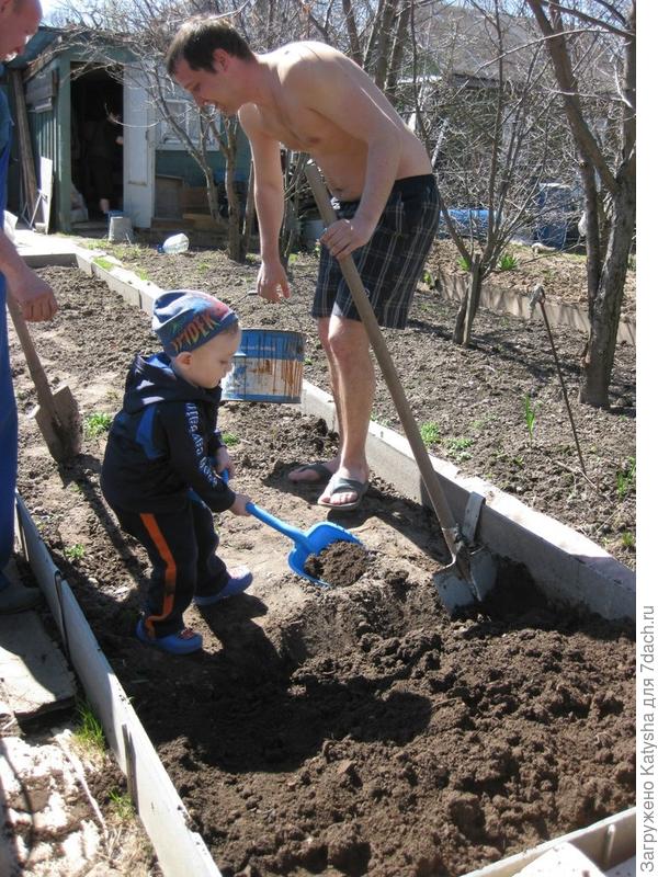 Сначала грядочку вскопаем!