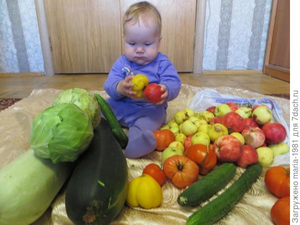 Урожай Алёнушки и ее братца Артемушки.