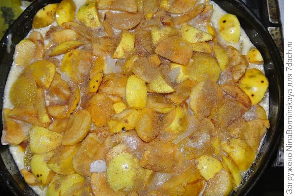 яблочки в переработке))