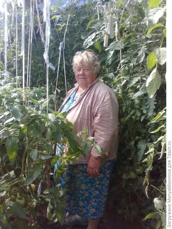 бабушка в теплице