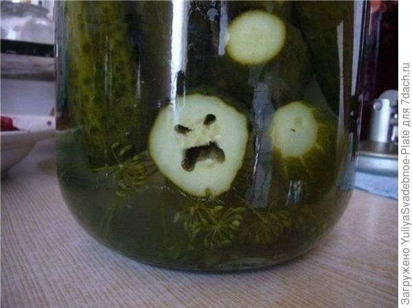 Не забывайте собирать урожай! =)