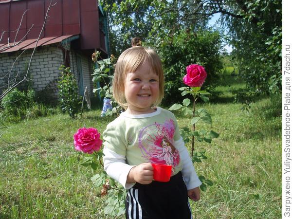 Не забывайте собирать урожай! =)