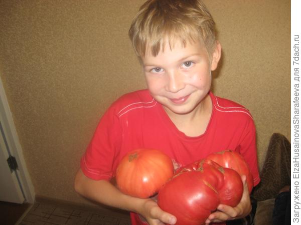 Это все с дедушкиной дачи.