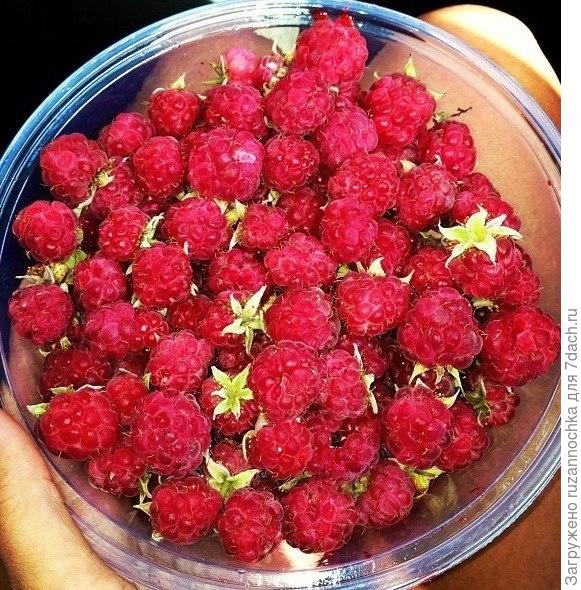 Наш любимый райский уголок!!))