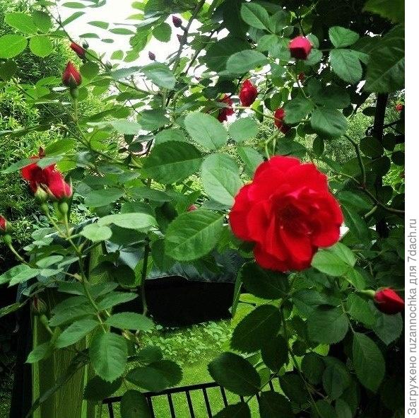 Наш любимый райский уголок!!))