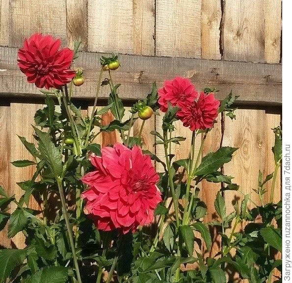 Наш любимый райский уголок!!))