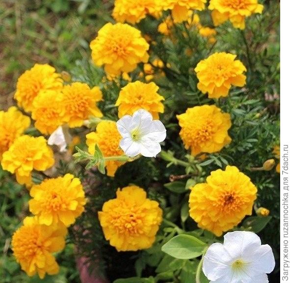 Наш любимый райский уголок!!))