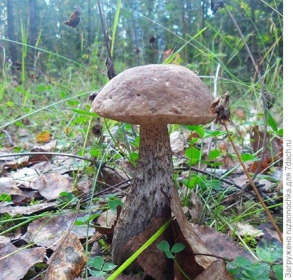 Наш любимый райский уголок!!))