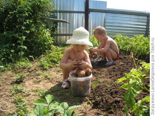 Наша дача просто чудо!!!!!!!!!!!