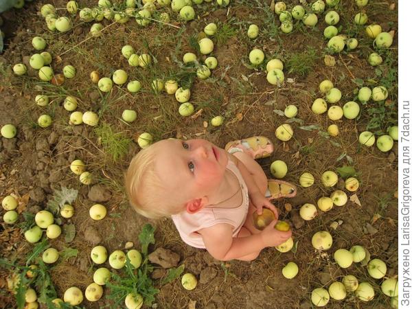 Наша дача просто чудо!!!!!!!!!!!