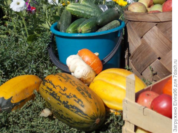 Результаты наших трудов