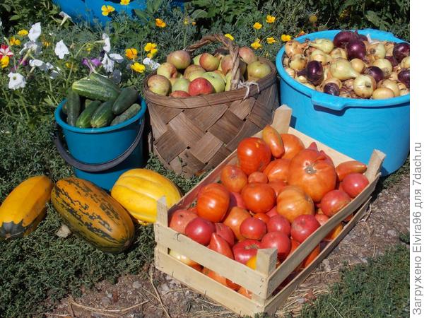 Результаты наших трудов