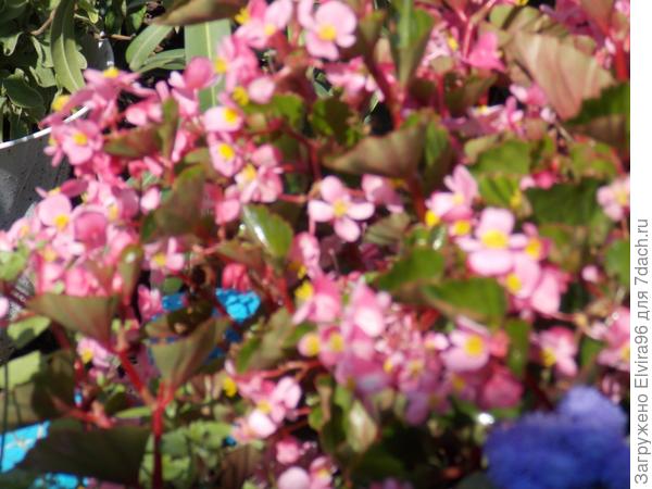 Результаты наших трудов