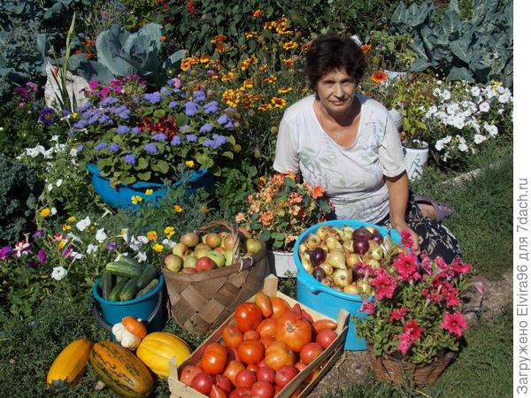 Результаты наших трудов:)